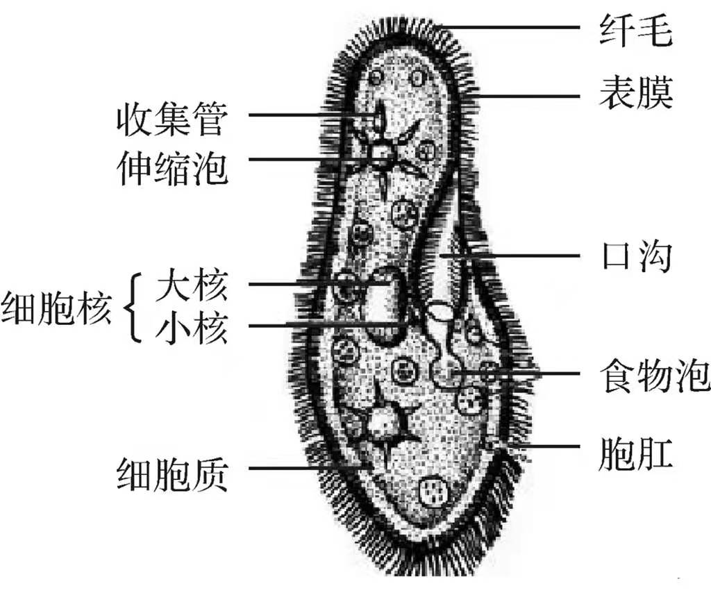 图片12.png