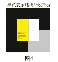 图片7.png